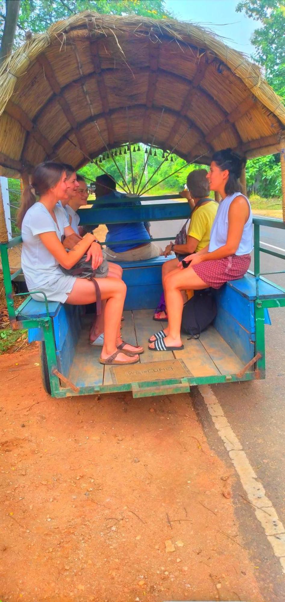 Sigiriya Nature Resort Eksteriør bilde